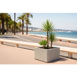 Jardinières pour espace public carrées en béton