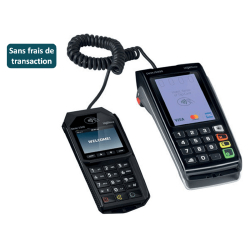 Terminal paiement Ingenico DESK 5000 + Pin Pad