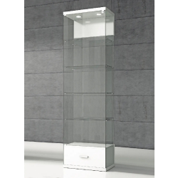 Vitrine transparente en verre VE60CVA - 60x40x210 cm - 4 tablettes réglables - Éclairage LED intégré