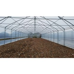 Serre tunnel pour maraîchers - Structure en acier galvanisé et bâchage plastique - Tunnelart pv