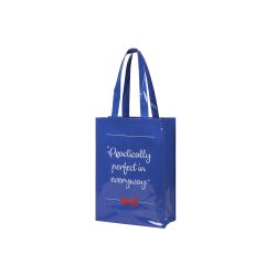 Sac réutilisable en cuir - cuir miroir PVC - dimensions 30x40x15cm - Réf : FRABHVDP