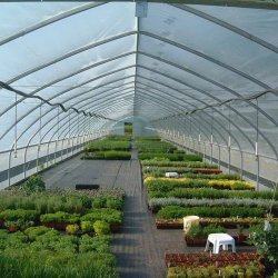 Serre tunnel professionnelle trois saisons - Largeurs disponibles 28 pi, 30 pi et 31 pi  - TunnelPro MC