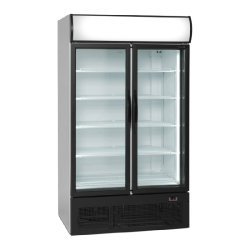 Vitrine réfrigérée 2 portes battantes Tefcold FSC1950H