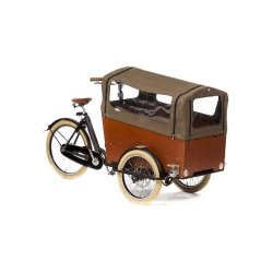Triporteur Bakfiets Confort - coffre large pour 6 enfants - options multiples