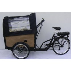 Triporteur électrique eco kid