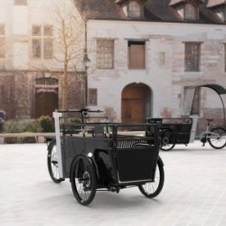 Vélo triporteur Troyes Wheels - 3 à 6 places - vitesse 25km/h - autonomie 100 km