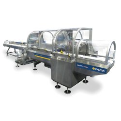 Ensacheuses horizontales Delta 4000 - Flow-pack polyvalente avec technologie Long-Dwell et sachets refermables