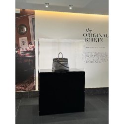 Vitrine cloche en plexiglas avec socle