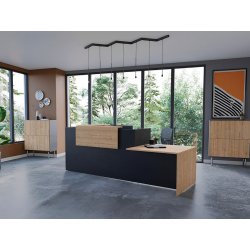 Banque d'accueil ambiance avec pmr