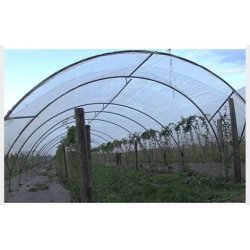 Serre tunnel professionnelle spécial fruits rouges - Largeur 6m - Serres Natural
