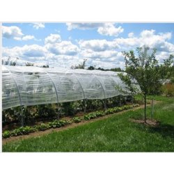 Rapid - Serre tunnel Natural - Largeur 3m - Acier renforcé 25mm x 2mm