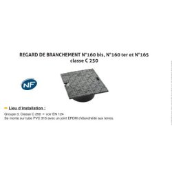 Regard de branchement n°160 bis, n°160 ter et n°165 - Classe C 250 - Fonte EN-GJS 500-7 - Peinture noire