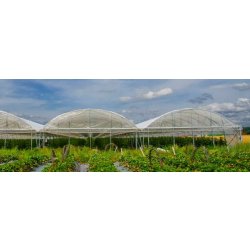 Serre tunnel maraîchère à barre et pied droit - Hauteur 4 m - Evo