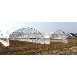 Serre tunnel agricole professionnelle - Structure en acier galvanisé - L (mm) 6400 - 7200 - 8000 - 8800 - 9600 - Easyart