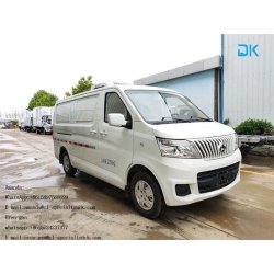 Véhicule frigorifique à options personnalisés - PTAC 2350 kg - Chengli Special Automobile Co., Ltd