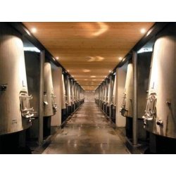 Cuve tronconique faible conicité - 7 à 11 % - Inertie thermique pour fermentations lentes et douces