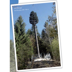 Pylônes arbres accès intérieur SEKOIA - standard 15 à 30m, tronc marron/noir, échelle Soll, plateforme extérieure