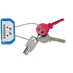500 scellés câble porte clefs - SCLLASARG-ET01/PQ