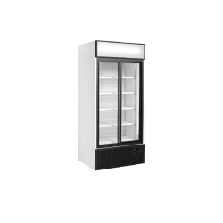 Vitrine ventilée positive de présentation roulante 462 Litres, 2 portes vitrées coulissantes, blanche, 410 W, 220 V - MONO