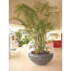 Jardinières vasque en polyester - moulage en fibre de verre - matériau léger et résistant