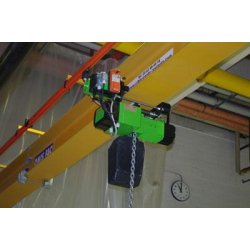 Palan à chaîne RWM - aluminium - 125 à 4000 kg - levée standard 3 m - IP 55