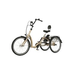 Tricycle électrique Comfort FM - moteur Ansmann 250 Wh, 7 vitesses, cadre acier
