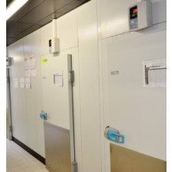 Chambre froide - Froid 77 - solution de stockage frigorifique