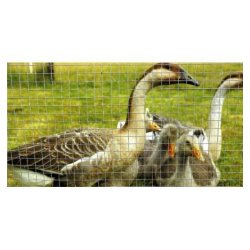 Grillage soudé multi-usage galvanisé - mailles rectangulaires ou carrées - idéal pour cages et volières