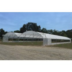 Serre tunnel pour maraîchage - bi- tunnel 9.60 m - longueur à partir de 10 m par pas de 2.5 m