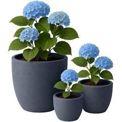 CLP Set de 3 bacs à plantes ronds 1 Anthracite - gris 326441