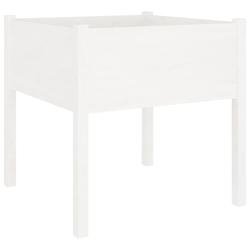 Helloshop26 - Jardinière bac lit surélevé plantes fleurs terrasse jardin 70 x 70 x 70 cm bois de pin massif blanc - blanc Bois massif 3000217635115