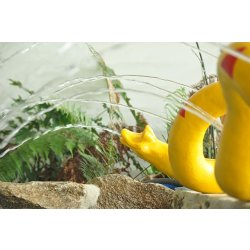 Pataugeoire : figurines animalières de la gamme exotique - serpent, crocodile, perroquet et tortue