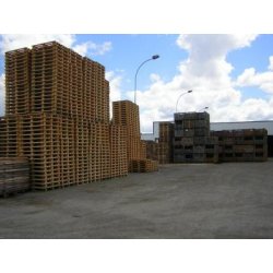 Caisses et palettes Europe en bois neuves - Formats variés pour le secteur vinicole
