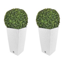 WellHome - Lot de 2 jardinières 35 L Rato en coloris blanc avec boule de buis de 36 cm - blanc plastique PK3911