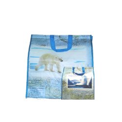 100 Sacs Isotherme pour sortie de caisses réutilisables en PP tissé 160gr/m2, personnalisables - SSCPPTISOBC-EV01