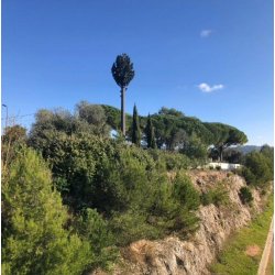 Pylônes arbres réalistes - Pin - 12m à 30m - Tronc en résine brune