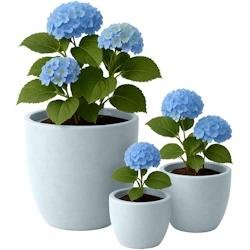 CLP Set de 3 bacs à plantes ronds 1 Gris - gris 326436