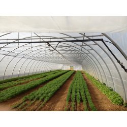 Serres tunnel à structure classique en acier galvanisé avec toiture anti-UV - Plusieurs dimensions disponibles