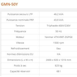 GMN-50Y Groupe électrogène industriel - Generac - 46,2 kVA - Série GMN Euro - Moteur diesel norme IIIA