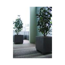Jardinière cubique en polypierre - légère, solide et résistante aux intempéries - Gamme Polypierre