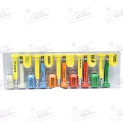 Scellé de sécurité conteneur EXPORT (clou / plomb bouteille) Cubis 2G - Personnalisable Petite Qté