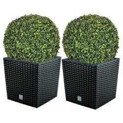 WellHome - Lot de 2 jardinières 32 L Rato en coloris anthracite avec boule de buis de 36 cm - marron plastique PK3908