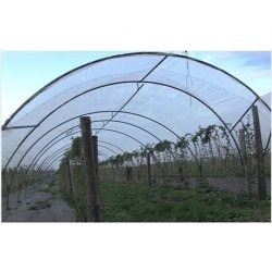 Serre tunnel professionnelle - Serres Natural - Largeur 5m - Hauteur 3.60m - Spécial fruits rouges
