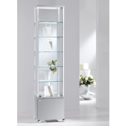 Mobilier d'exposition vitrine 53-MAVA - Gris clair - 5 tablettes amovibles - Porte avec serrure