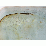 Produits anti-mousse