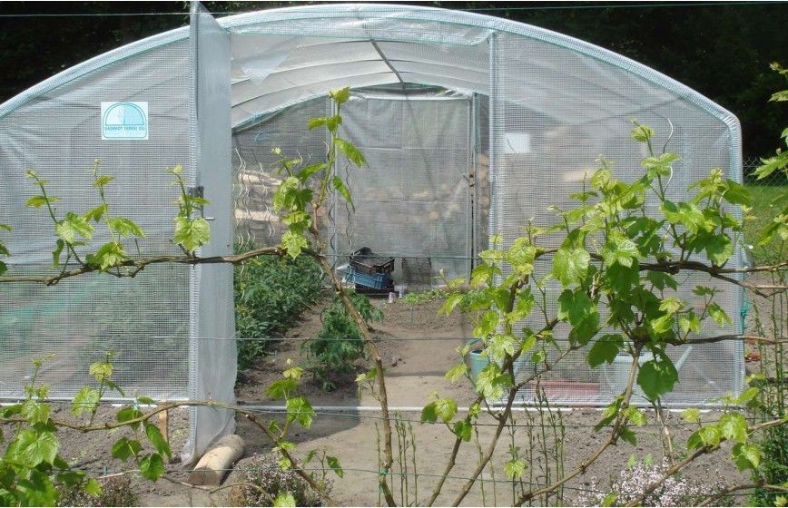 Serre de jardin 4 mètres de large pour un accès plus facile à vos cultures  - 4 SAISONS PLUS_9