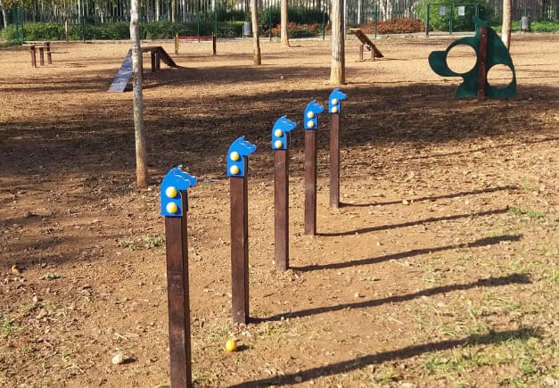 Parcours agility personnalisé - 8 obstacles pour chiens - Développe agilité et psychomotricité_9