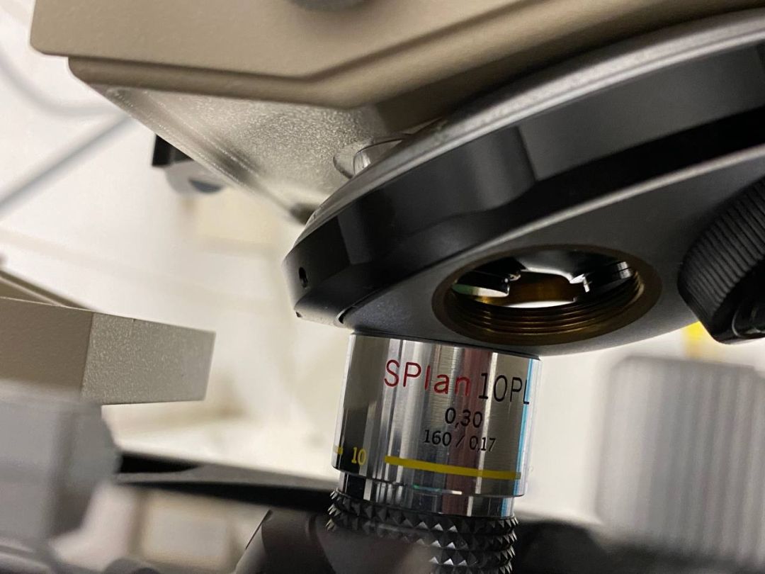 Microscope de laboratoire d'occasion -  imt-2 olympus_9