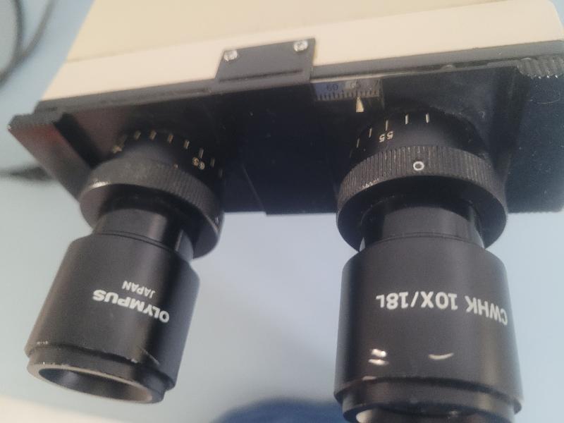 Microscope Olympus BH2_9