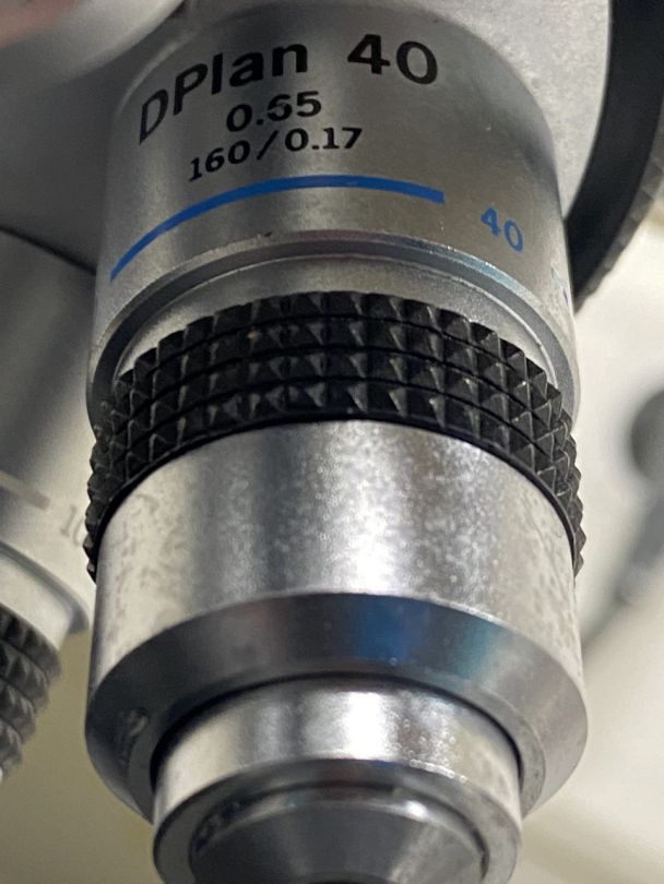 Microscope de laboratoire d'occasion bh-2 olympus - p2212-1959_9